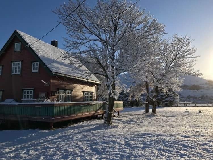 Vinterbilde, sett fra Nord Vest Galleribilde