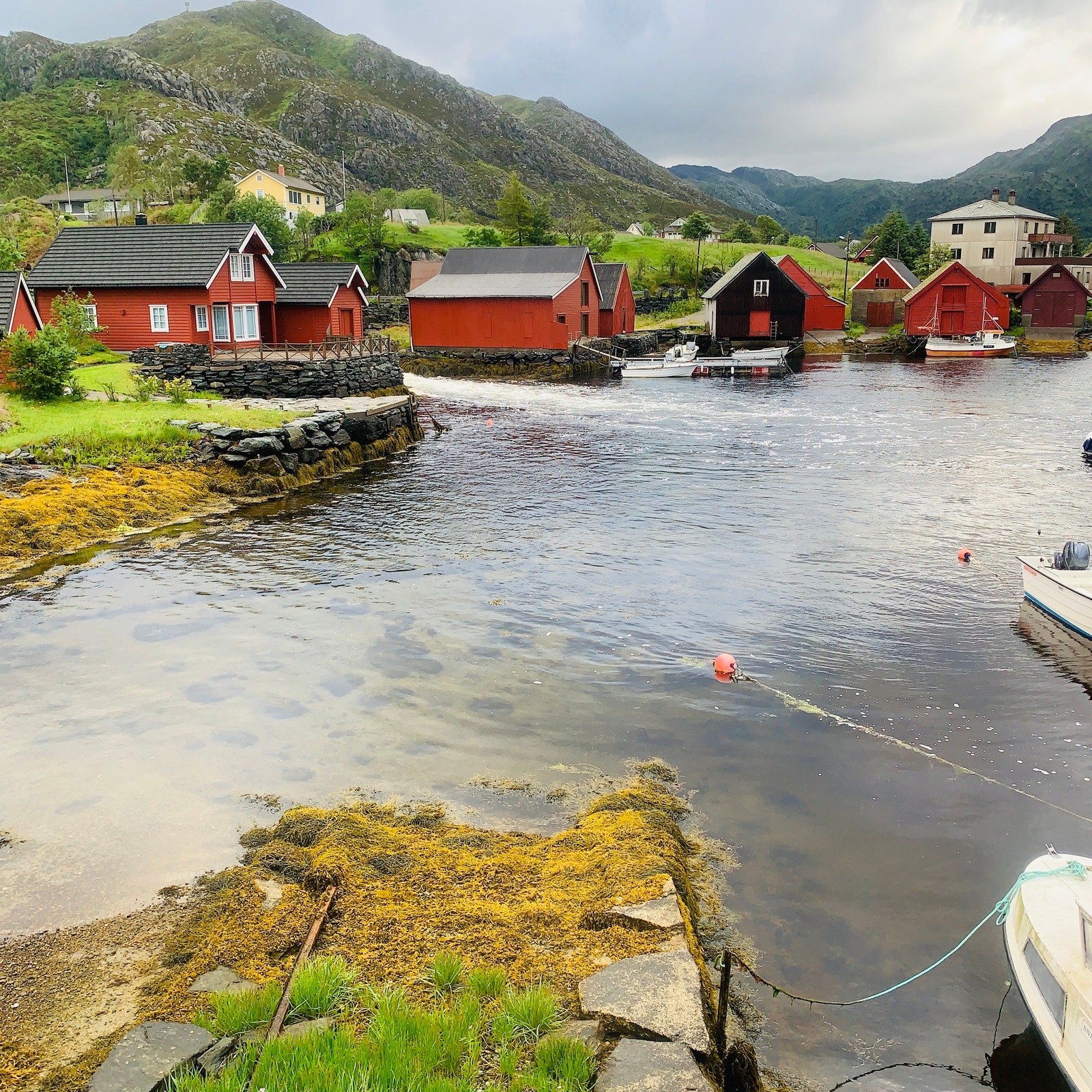 Struen Galleribilde