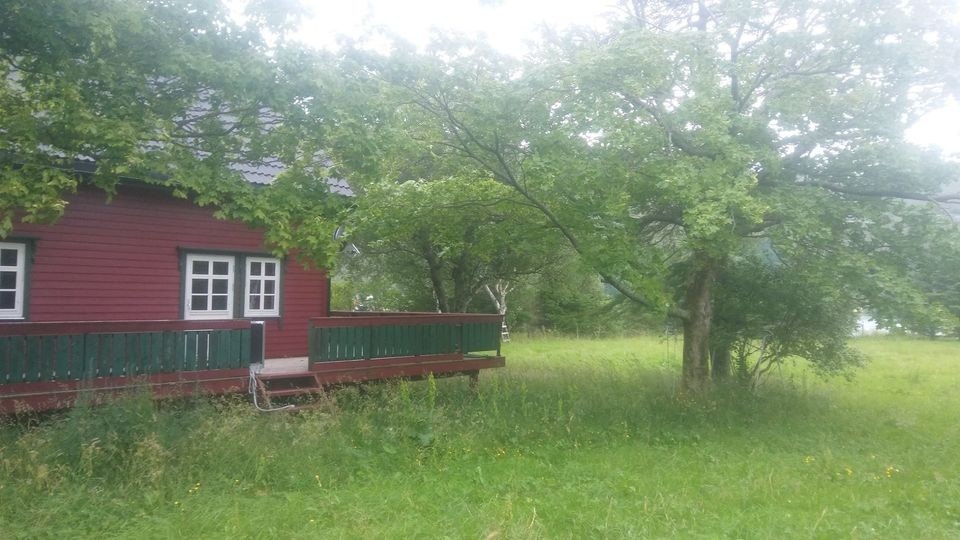 Vestsiden av huset Galleribilde