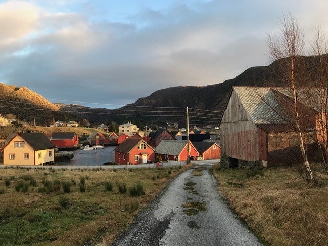 Utsikt mot øst, veien opp til huset, Struen (fjorden) Galleribilde
