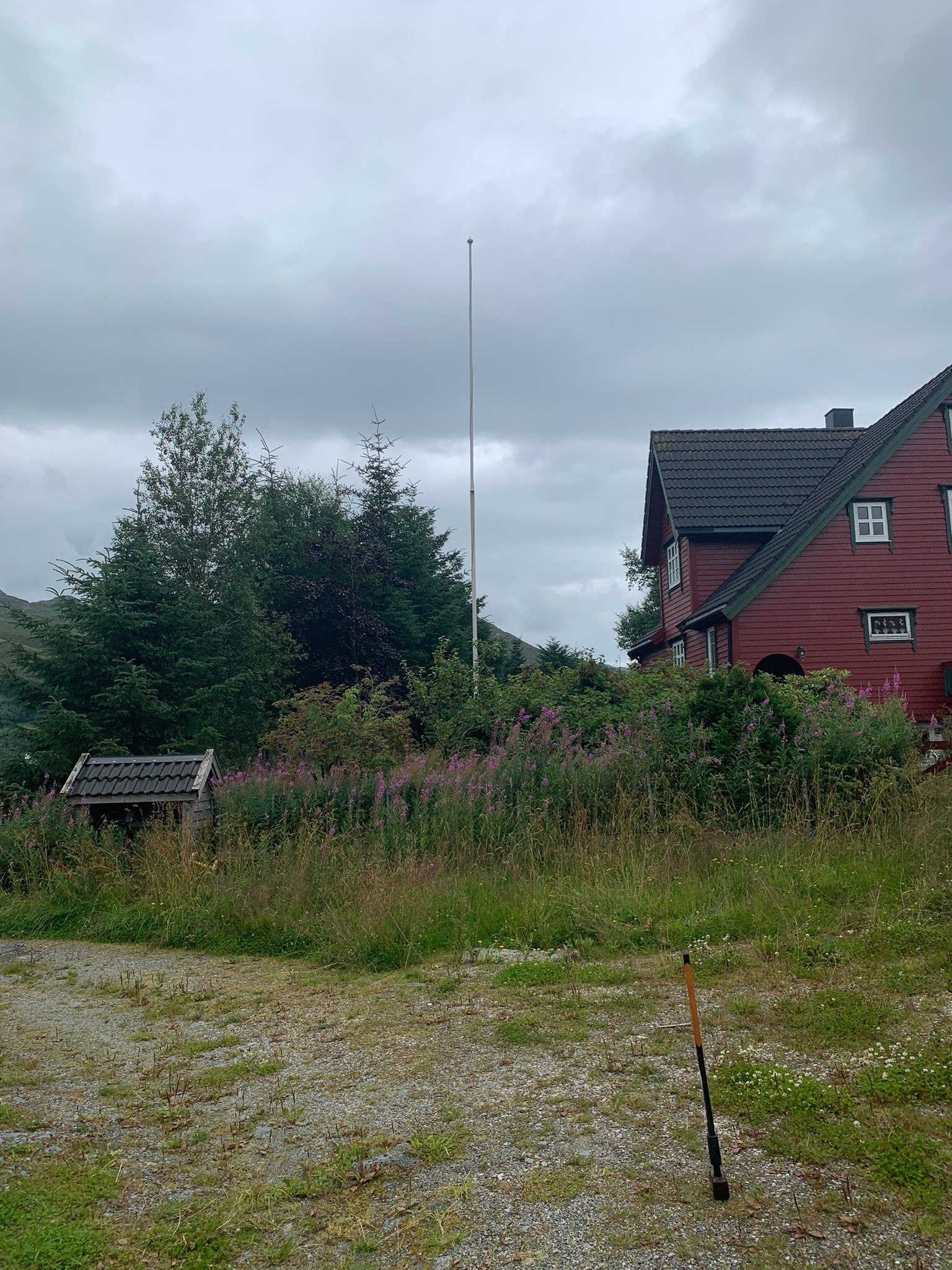 Sett fra Nord Galleribilde