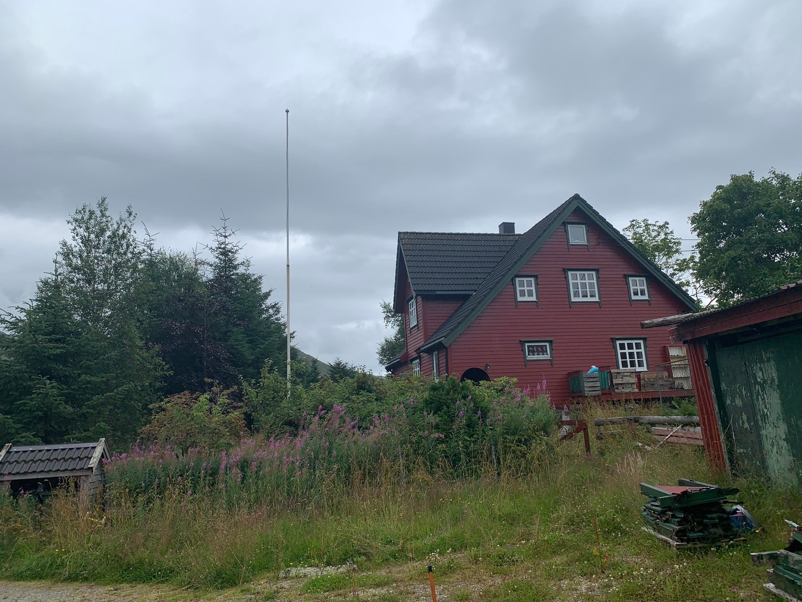 Sett fra Nord Galleribilde