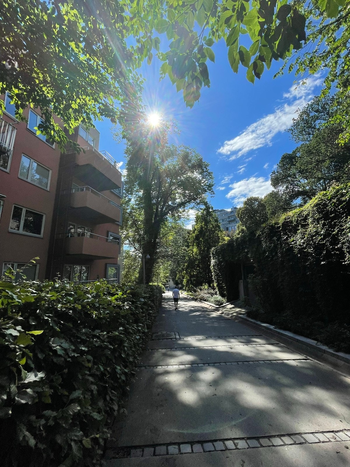 Gangvei foran leiligheten Galleribilde