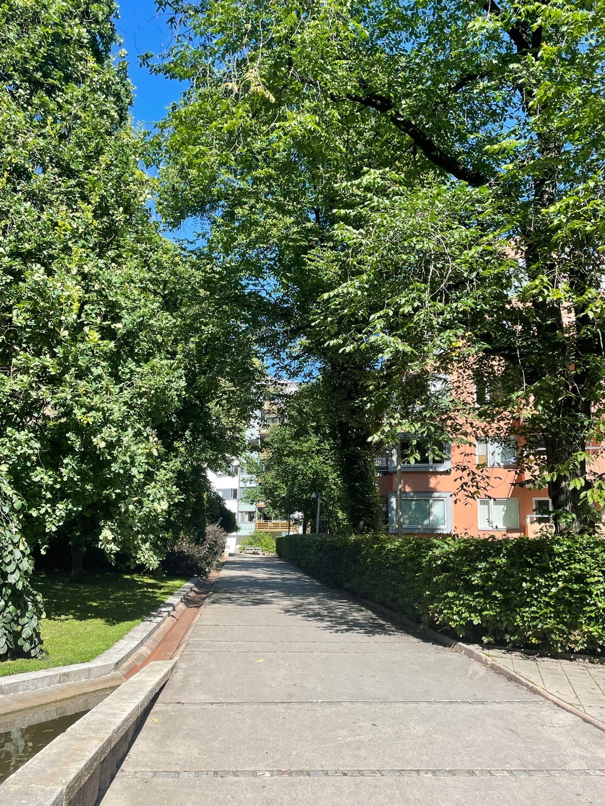 Rolige, grønne omgivelser Galleribilde