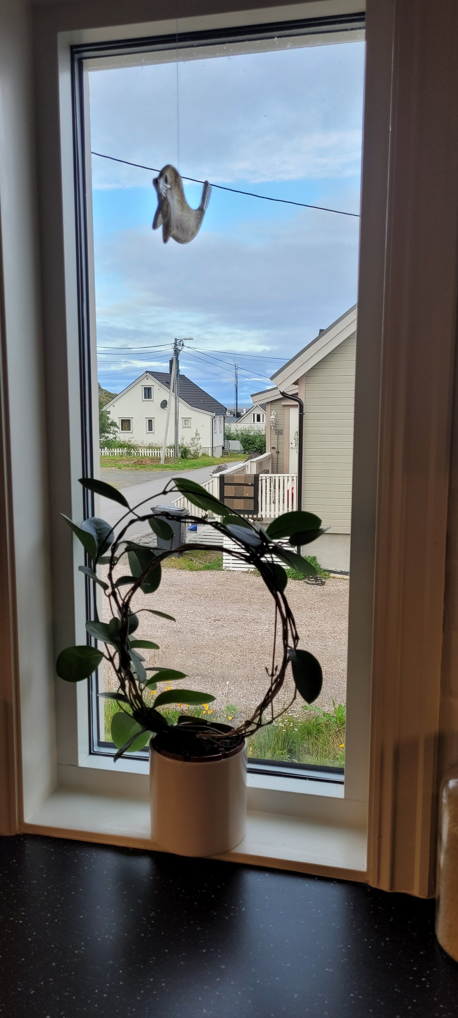 Utsikt over nabolaget fra kjøkkenvinduet. Galleribilde