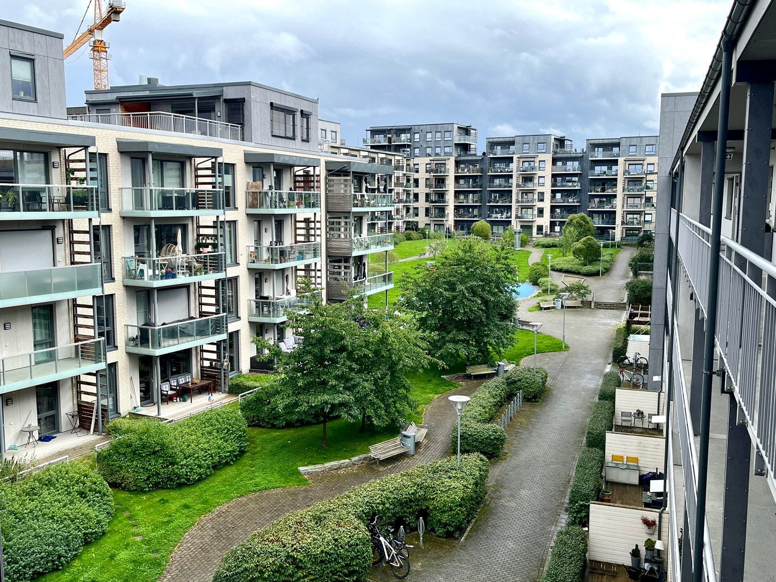 Bakgården med kirsebær og epletrær Galleribilde