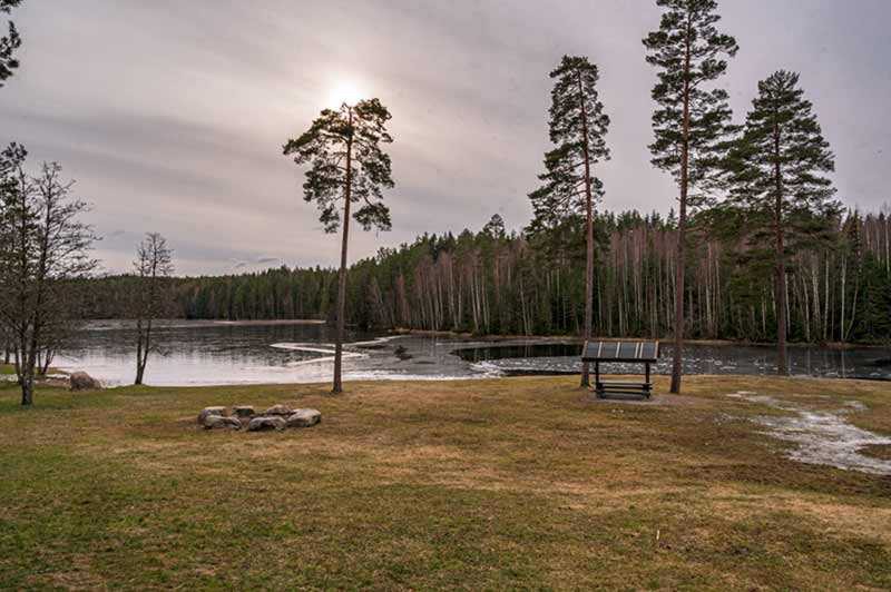 turterreng Galleribilde