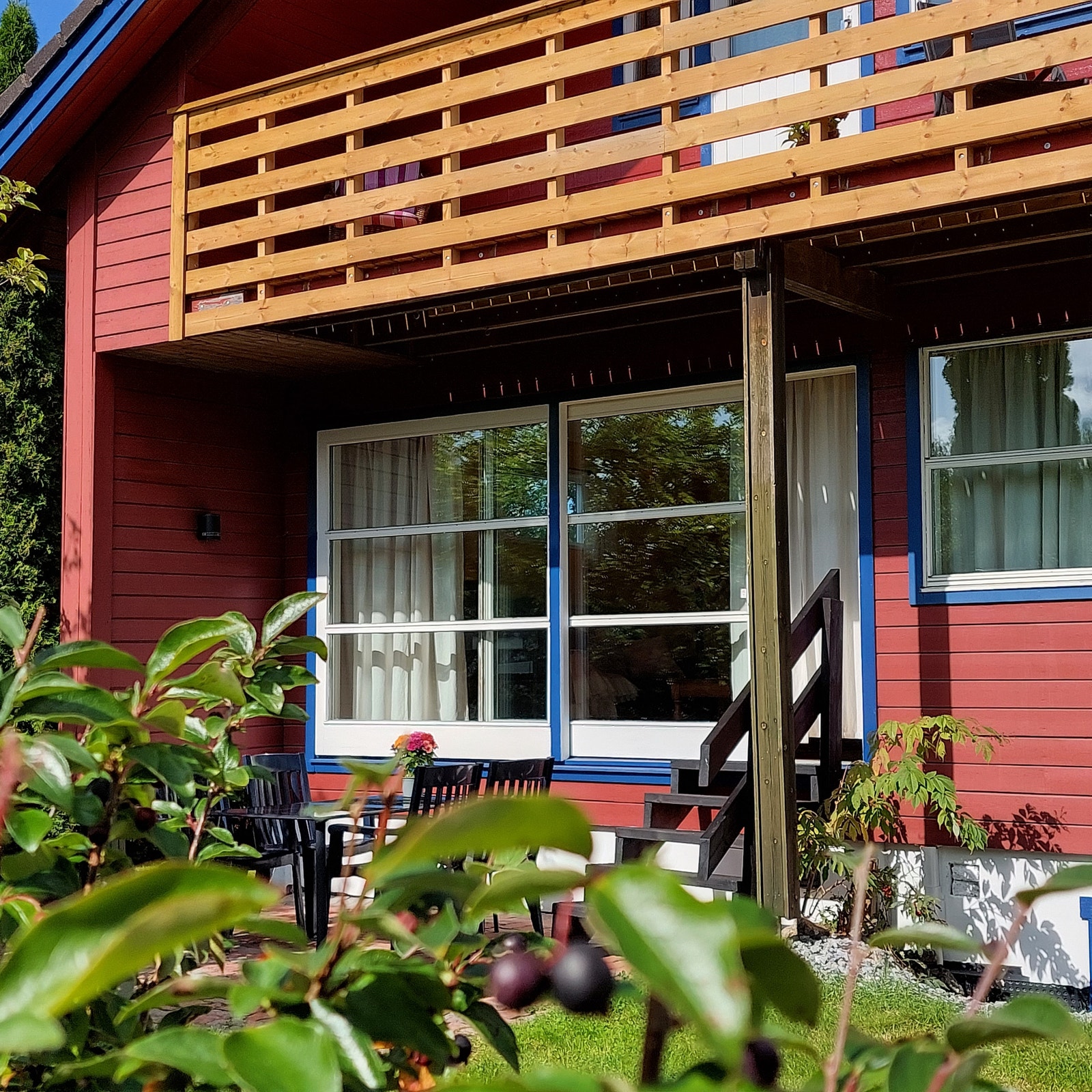 Uteplassen mot sør er skjermet av epletre og hekk Galleribilde