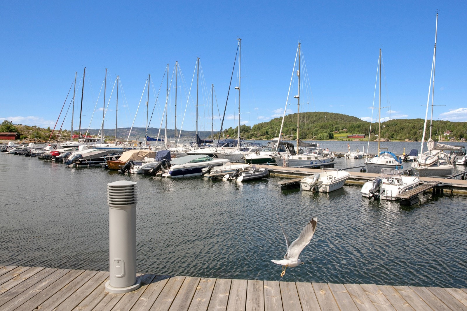 Kun 3 km til brygga i Son Galleribilde