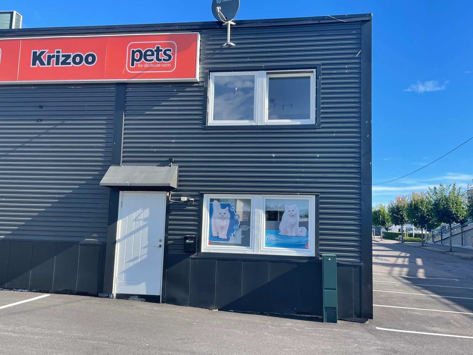 Vinduet med lys og sol Galleribilde