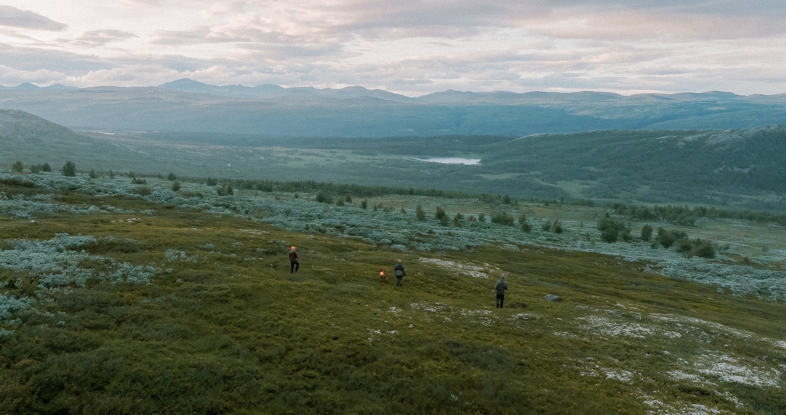 Variert terreng Galleribilde