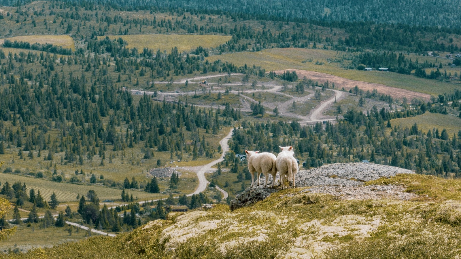 Midtstulen i bakgrunn fra Høgknappen ved Sulsetra Galleribilde