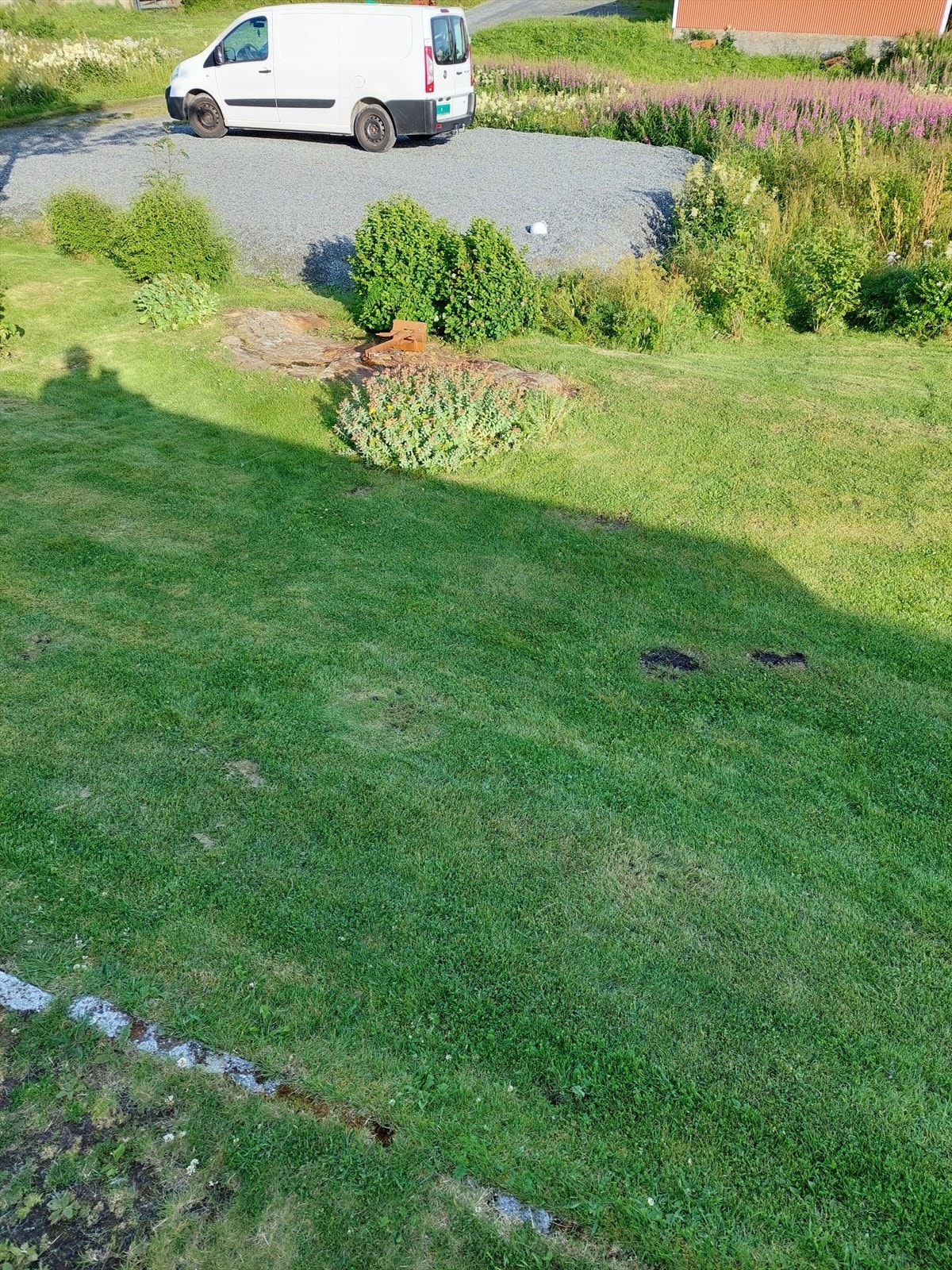 20220719_191418.jpg Galleribilde