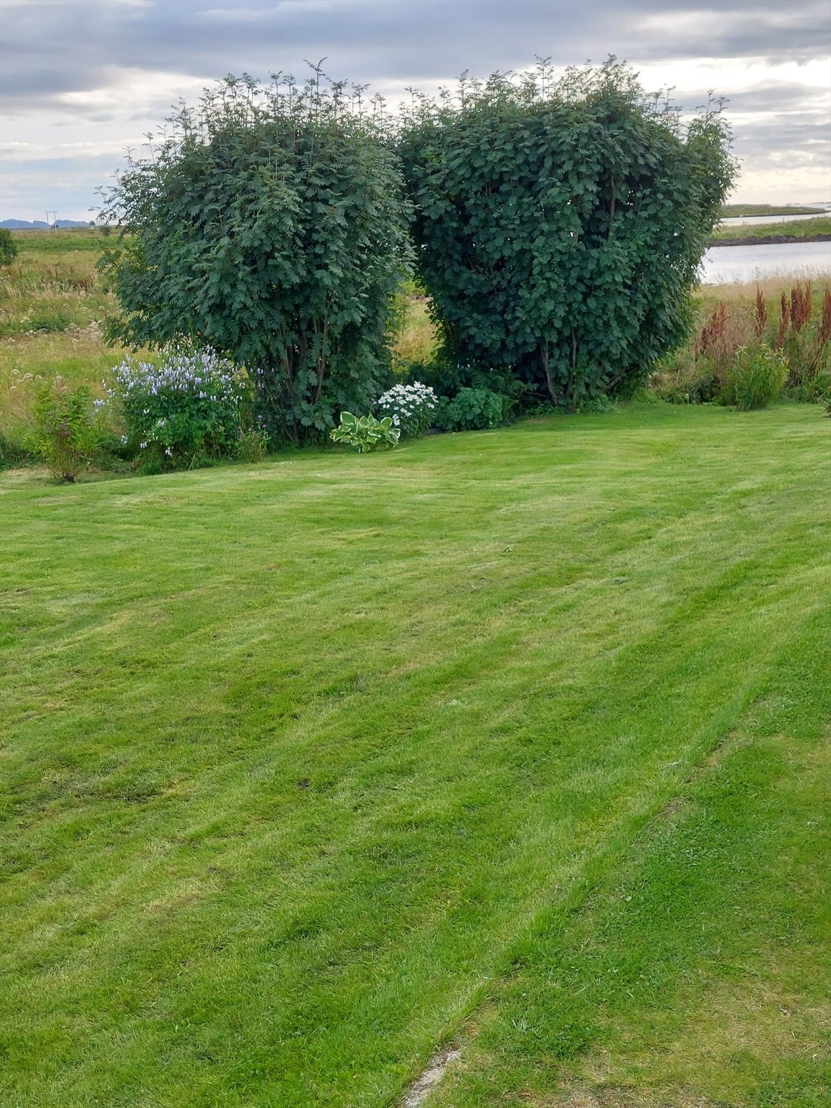 20220818_173732.jpg Galleribilde