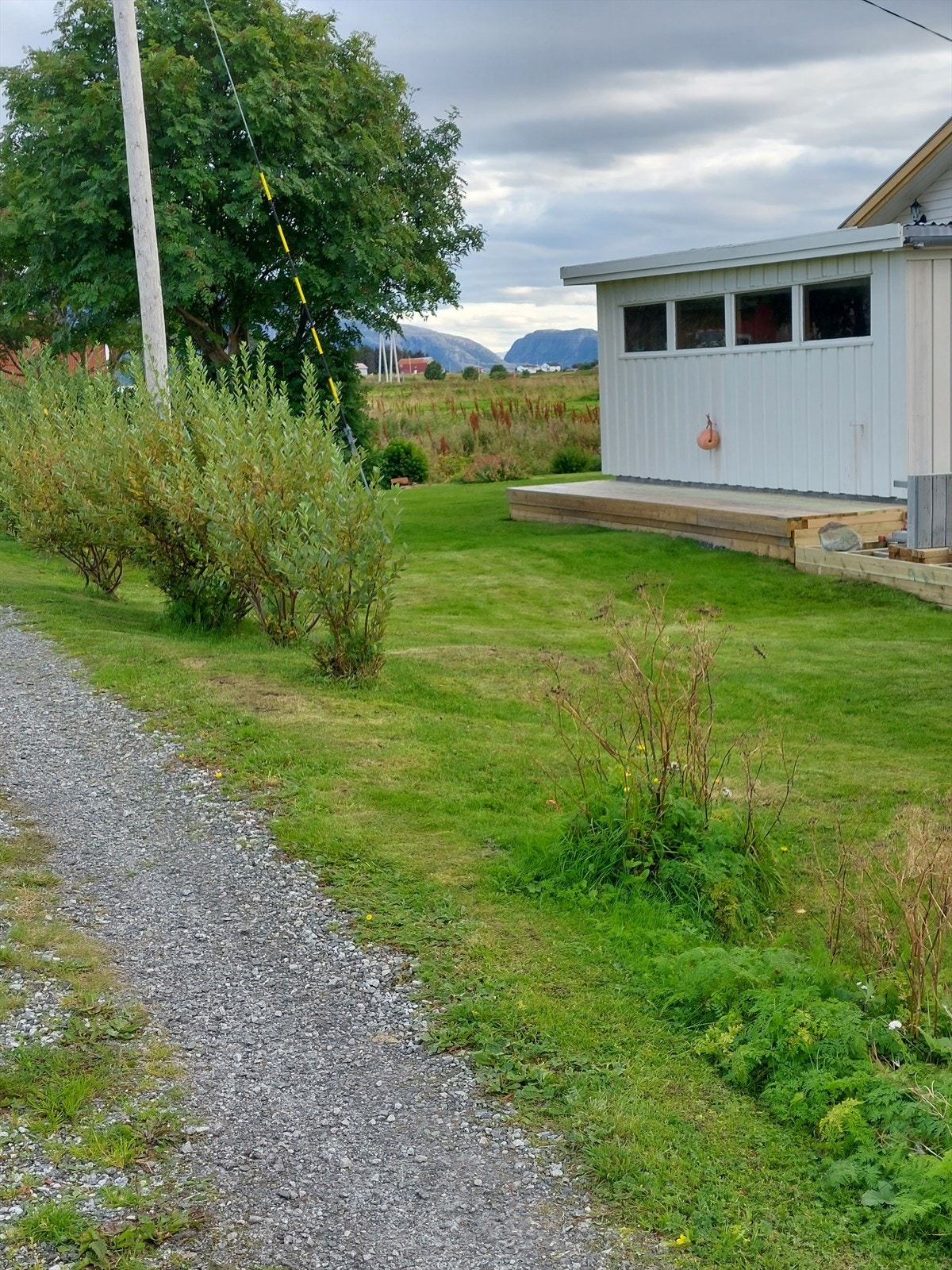 20220818_173535.jpg Galleribilde
