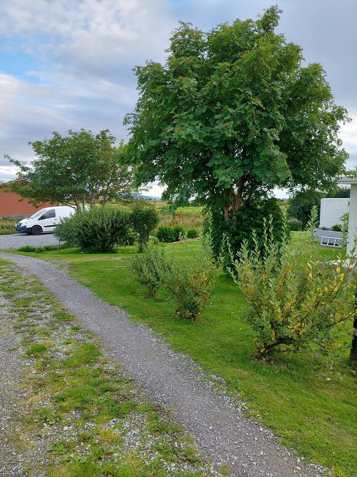 20220818_173625.jpg Galleribilde