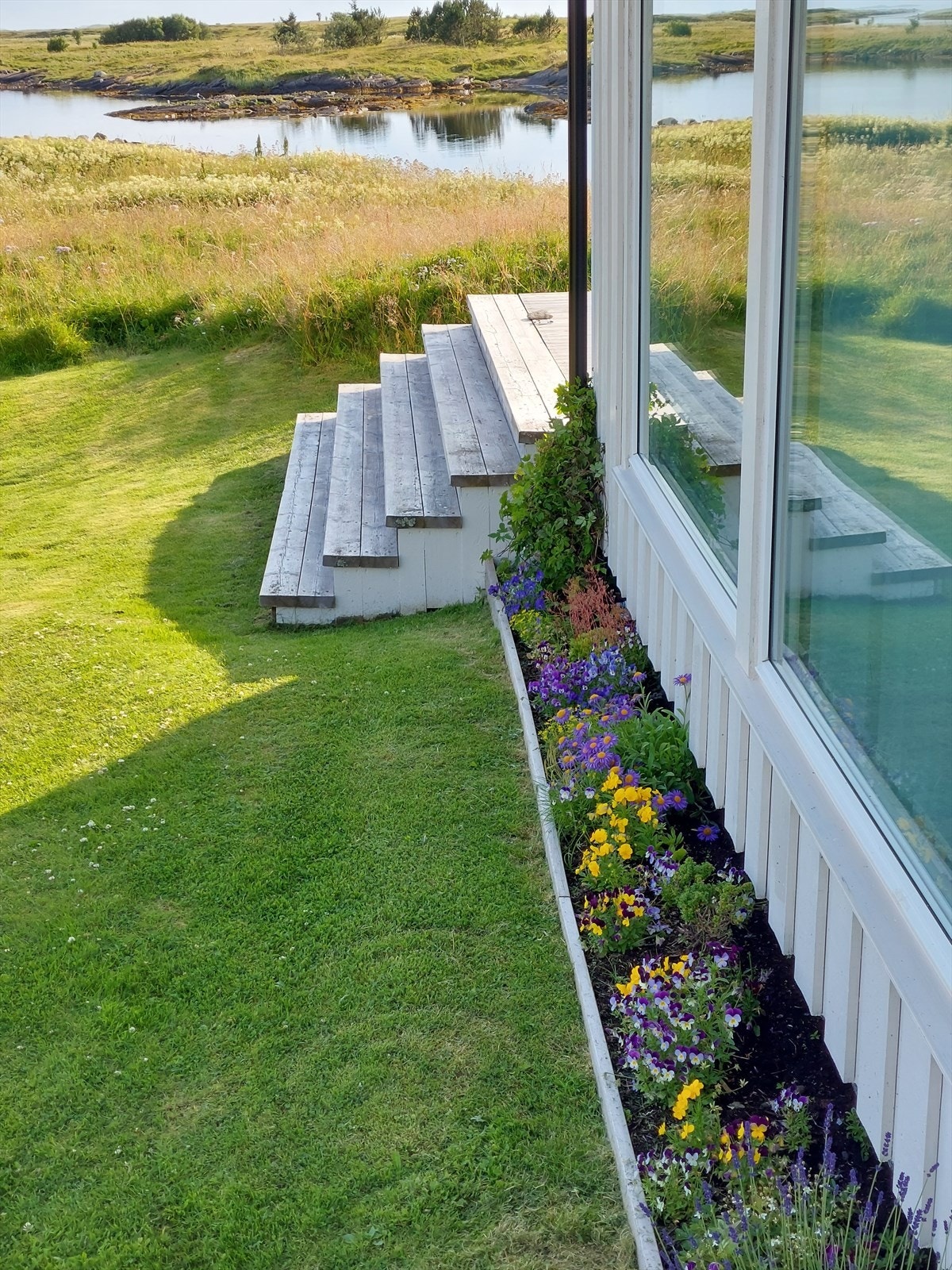 20220719_191459.jpg Galleribilde