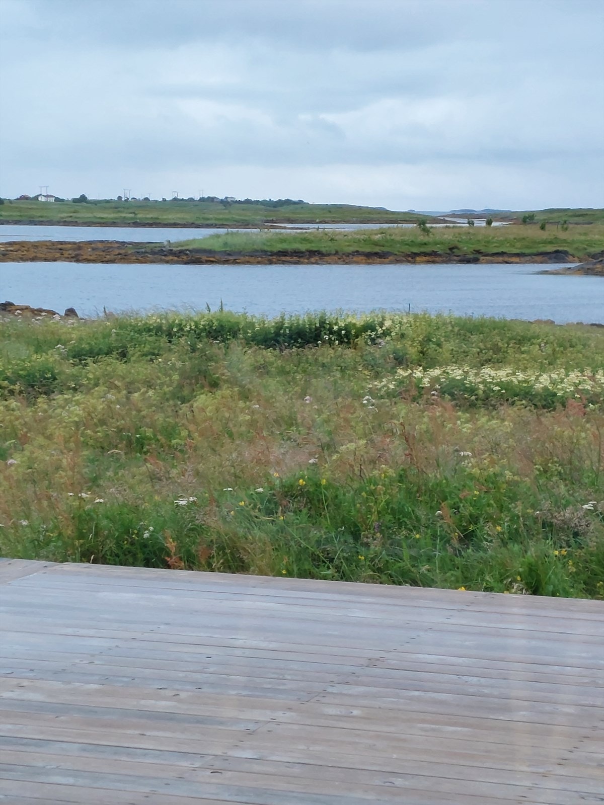 20220707_221051.jpg Galleribilde