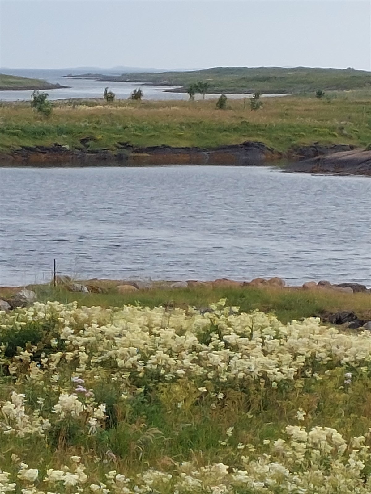 20220720_184449.jpg Galleribilde