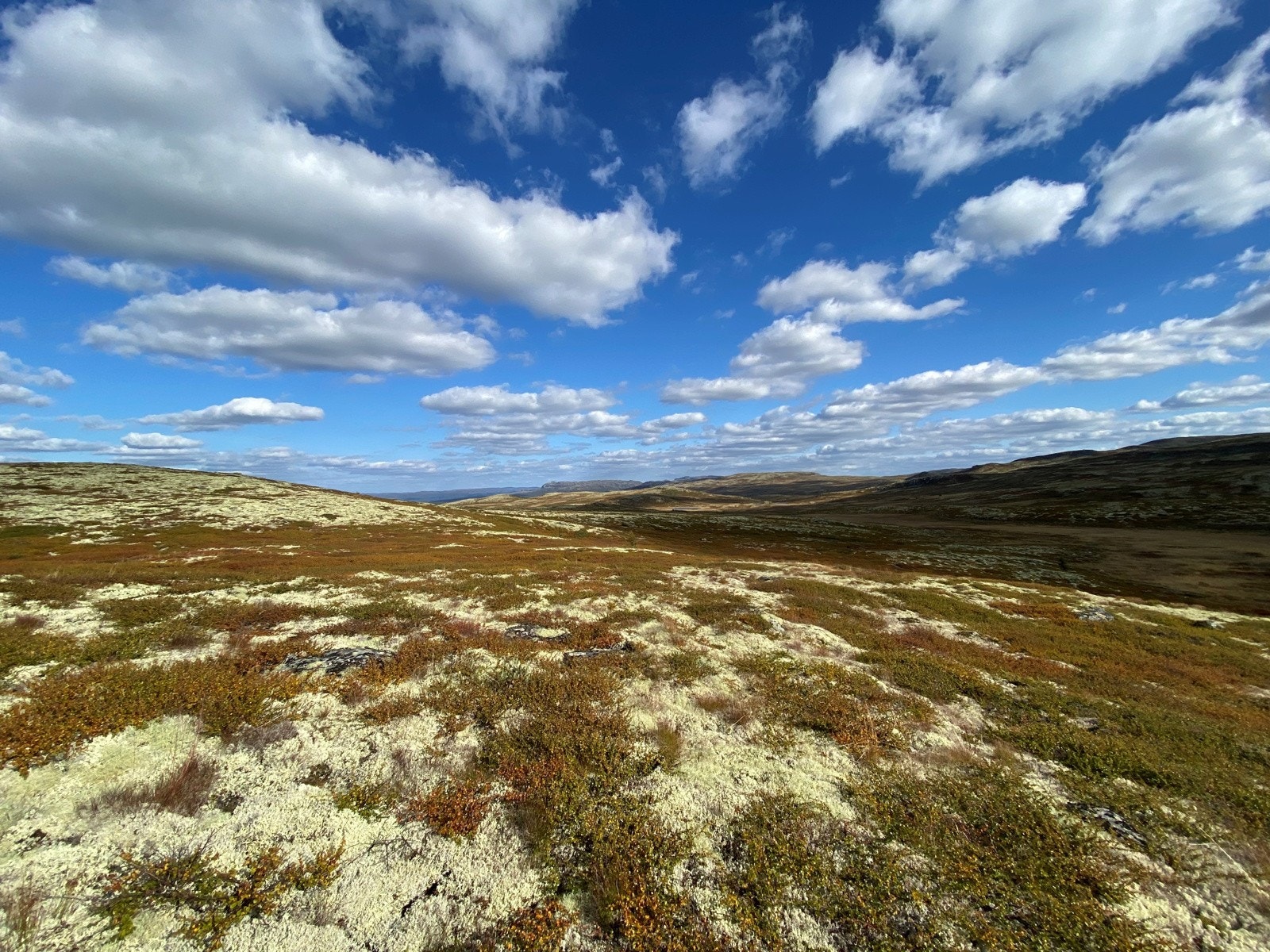 Unike turområder i alle himmelretninger Galleribilde