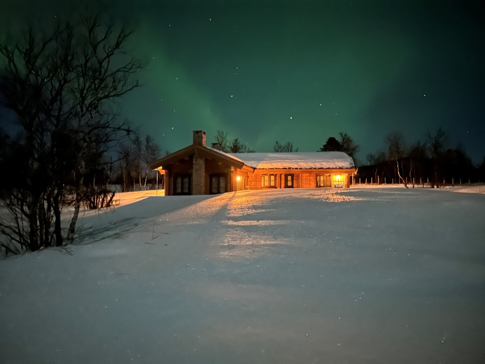 troll12 Galleribilde