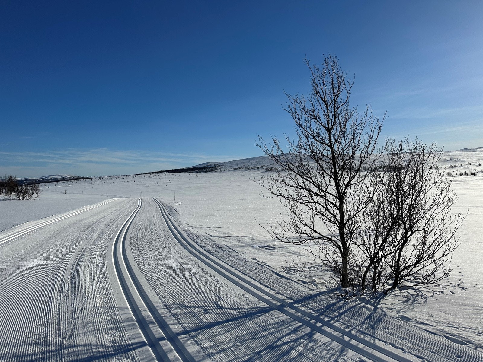 Fantastiske skiløyper i flere himmelretninger "rett utenfor døren"! Galleribilde