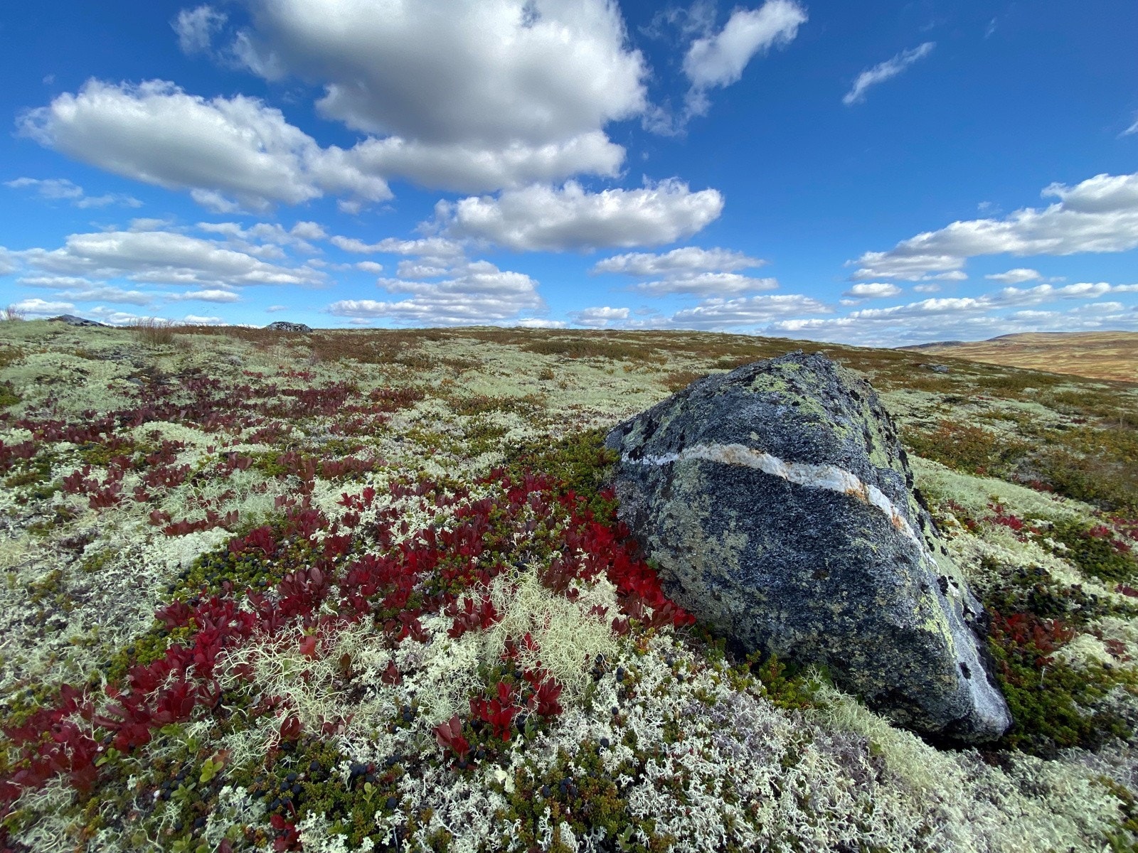Nærområder Galleribilde