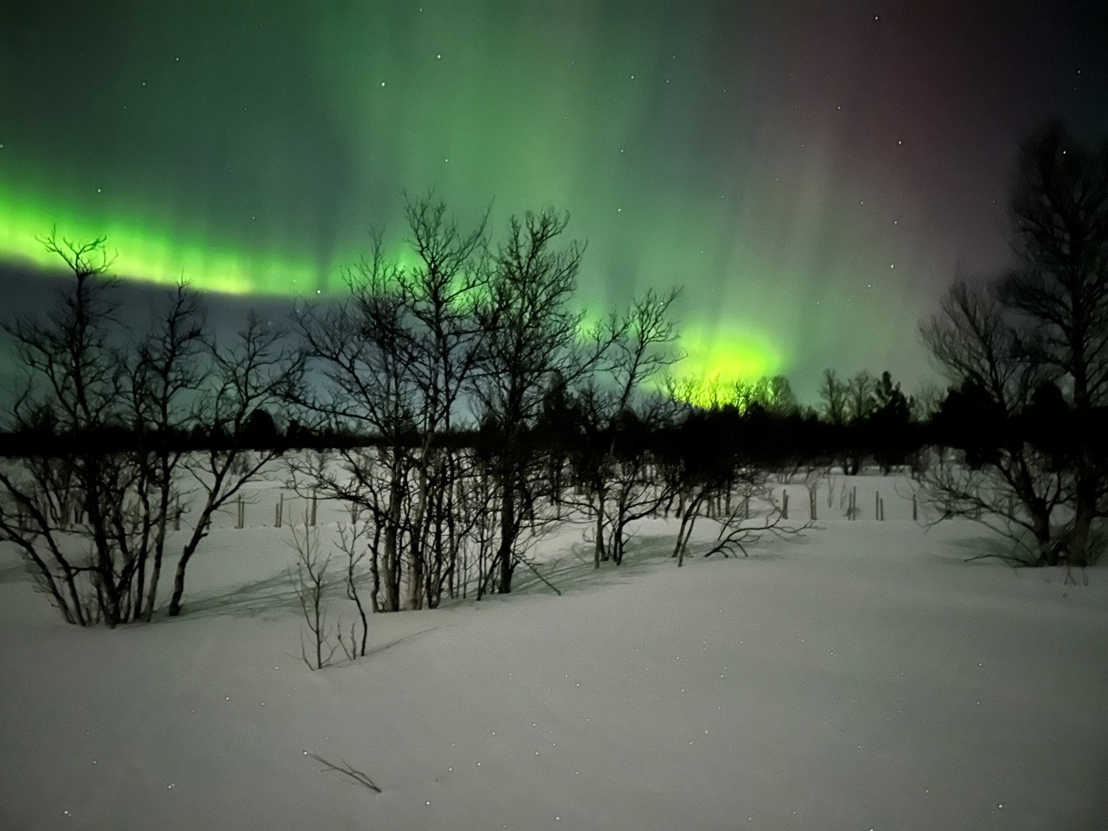 Norlys sett fra eiendommen Galleribilde