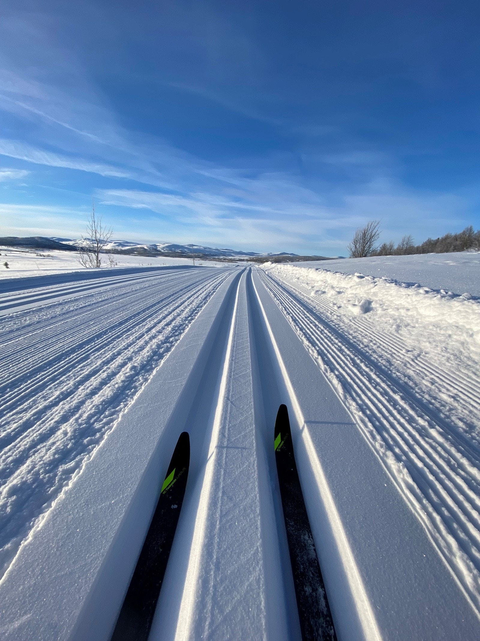 Skiløyper "rett utenfor døren" Galleribilde