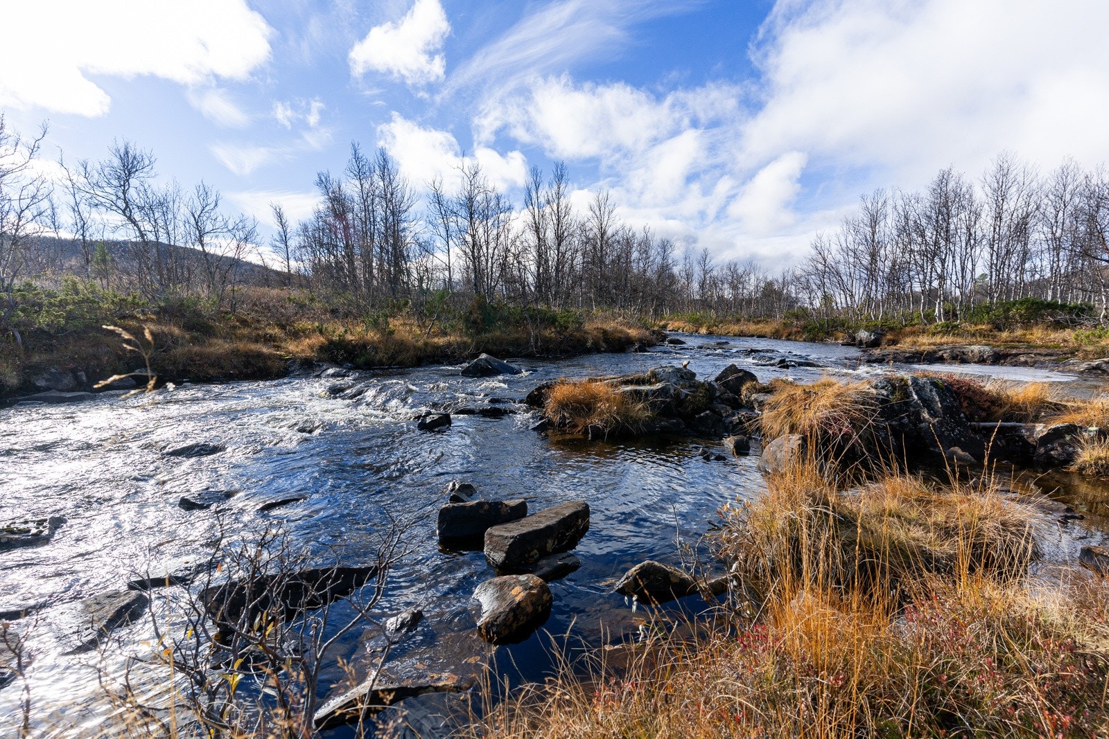 Nydelige nærområder Galleribilde