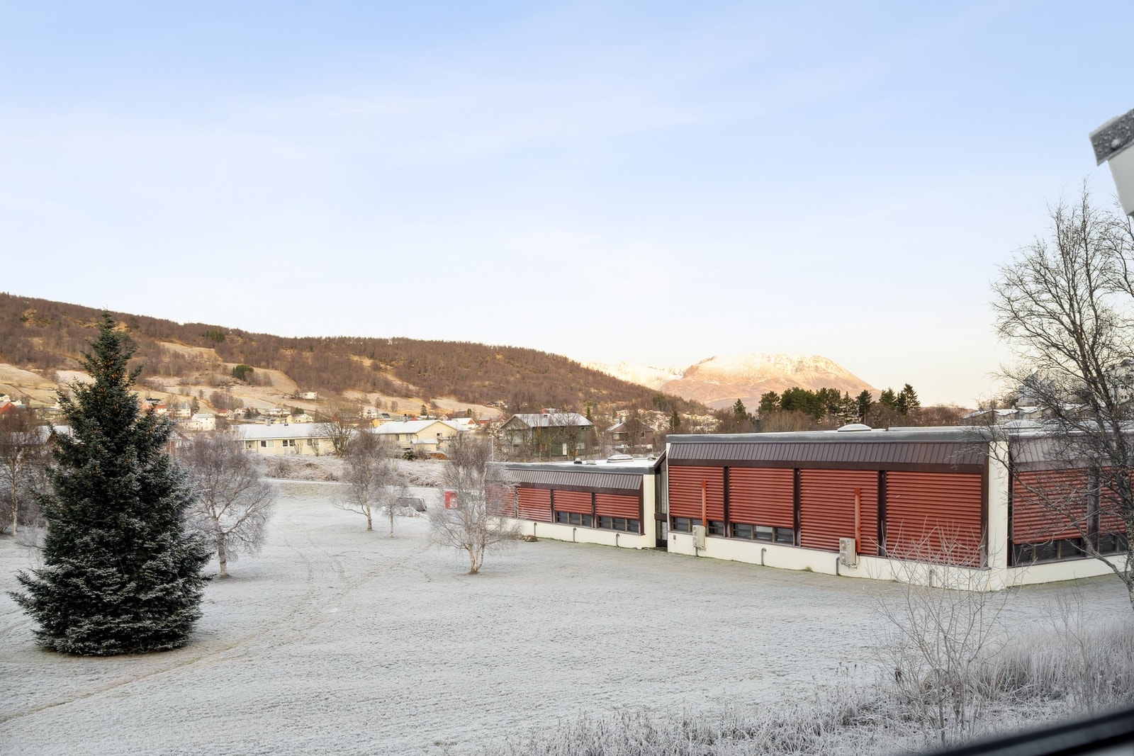 Blåbærhaugen har fine områder, både for friluft og tur. Galleribilde