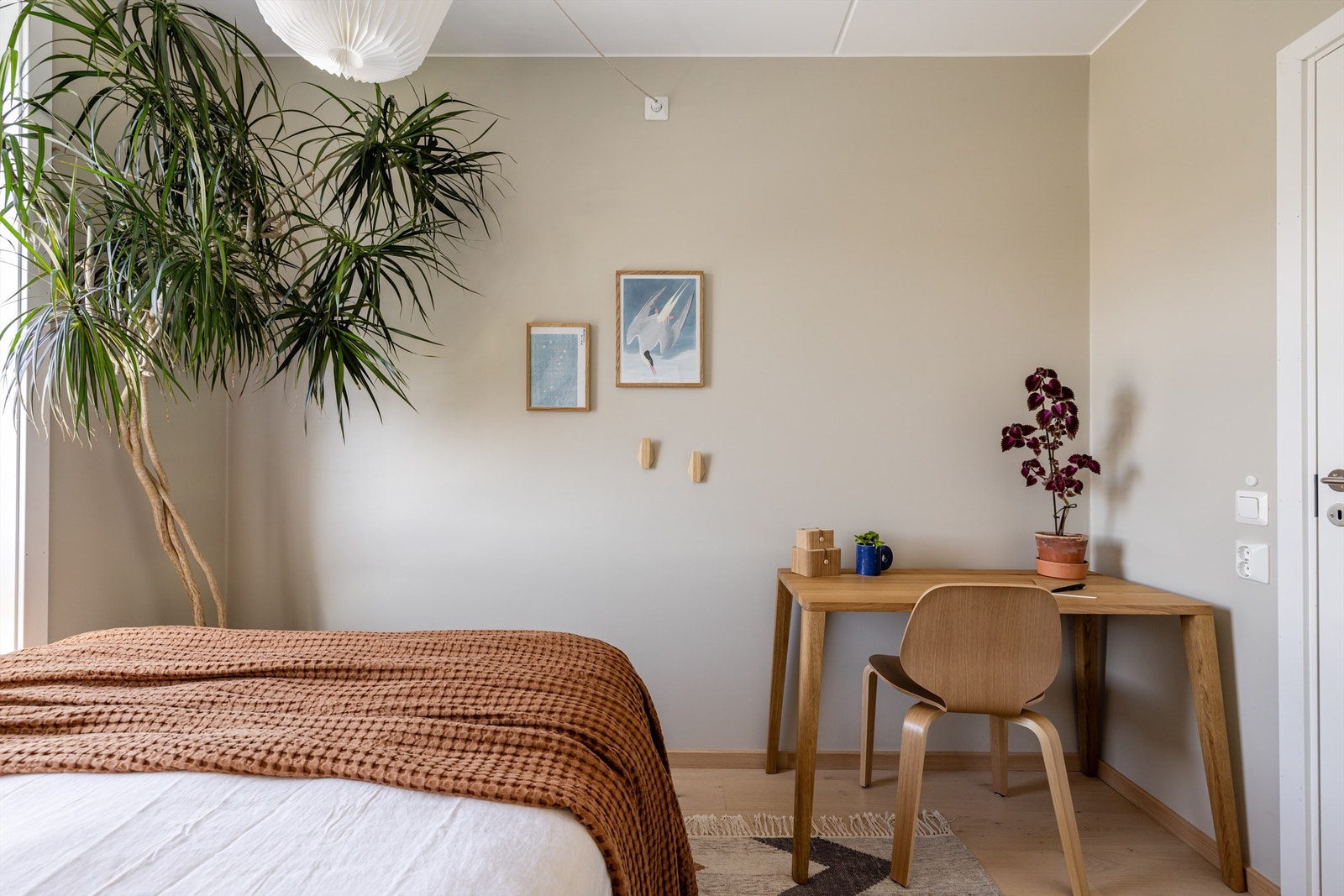 God plass til gjesterom og hjemmekontor. Galleribilde