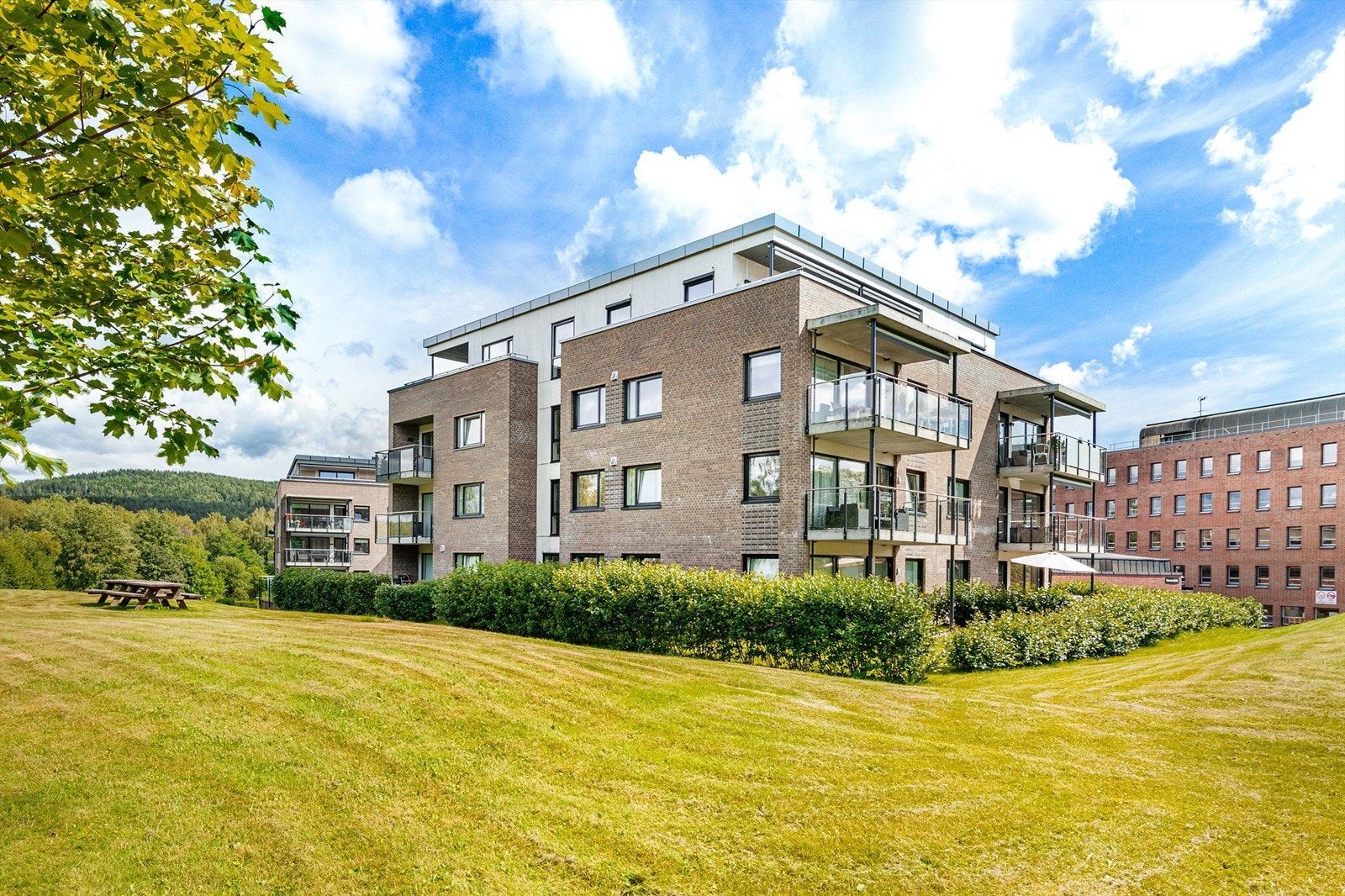 Luftig og fri beliggenhet med marka som nærmeste nabo Galleribilde