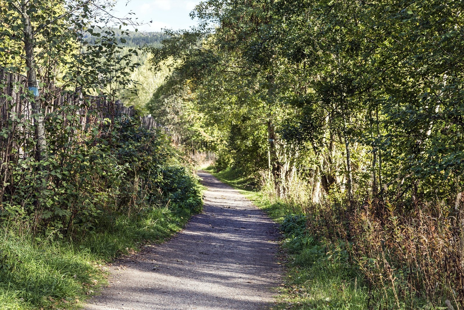 Tursti fra Brekkeveien opp til Brekkekrysset Galleribilde