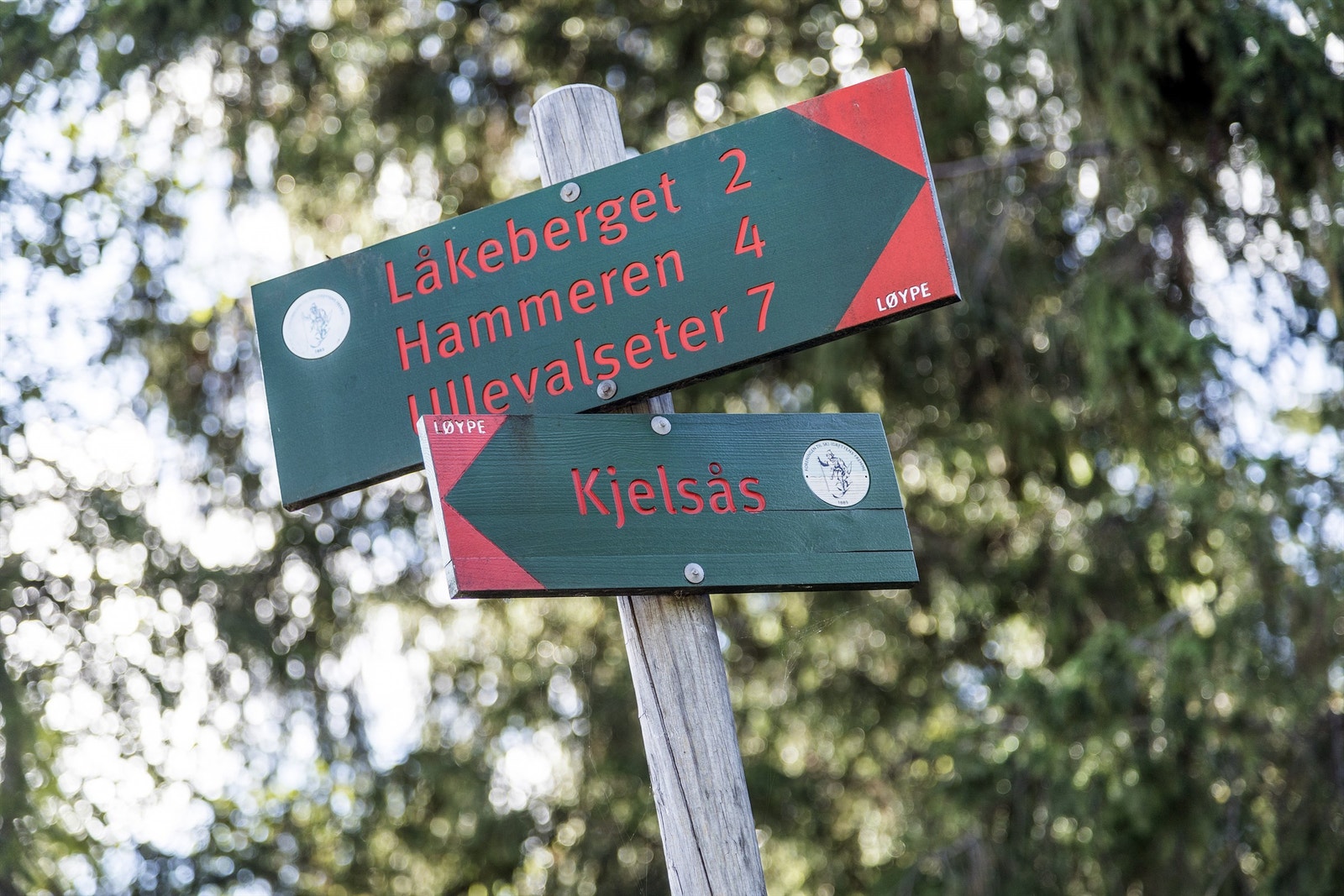 Flotte turmuligheter rett utenfor døren Galleribilde