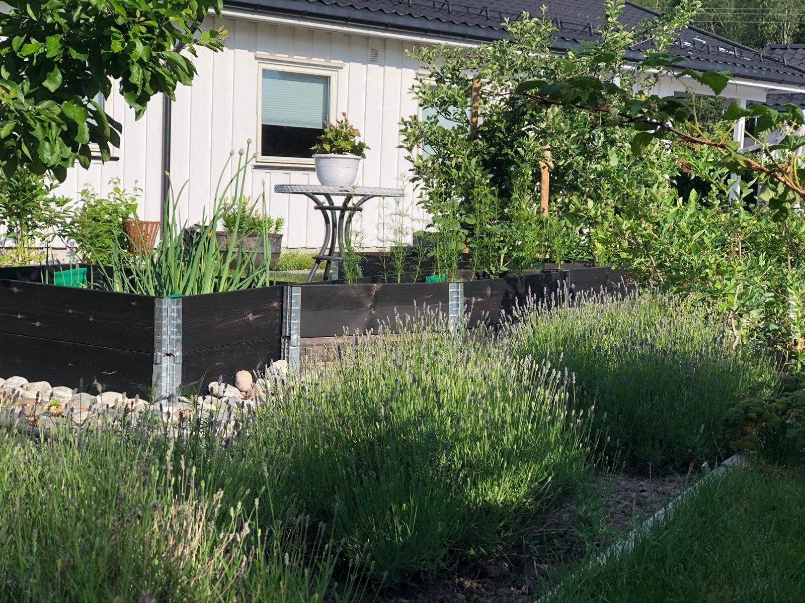 Sommerbilder tatt av selger Galleribilde