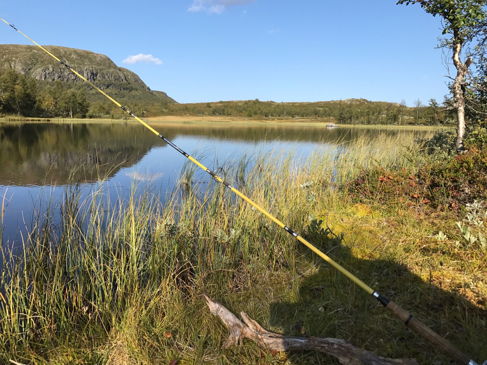 Det er fiskemuligheter i mange vann i området. Galleribilde