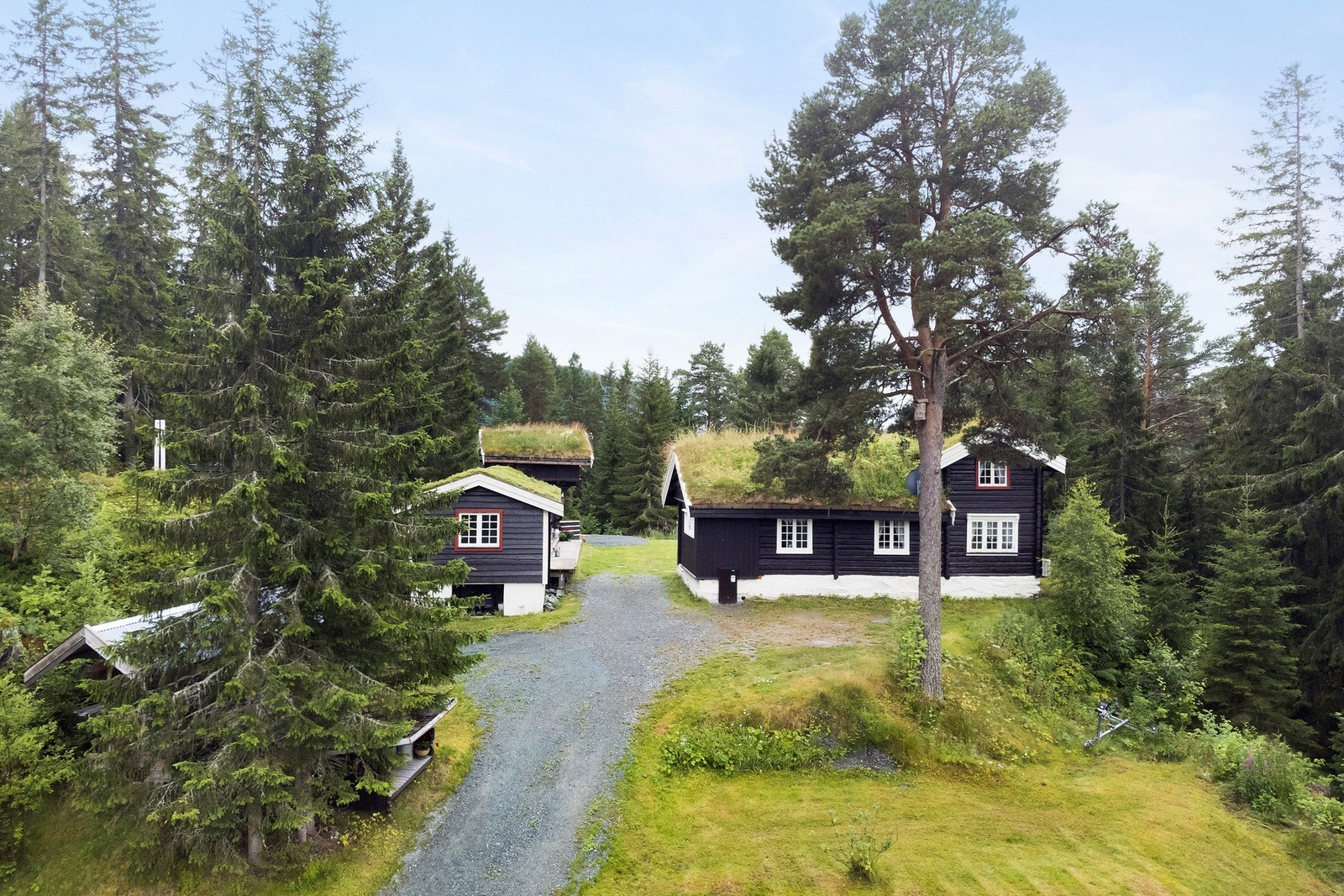 Idyllisk beliggenhet med kort vei ned til vannet. Fin bilvei helt frem til hytta Galleribilde
