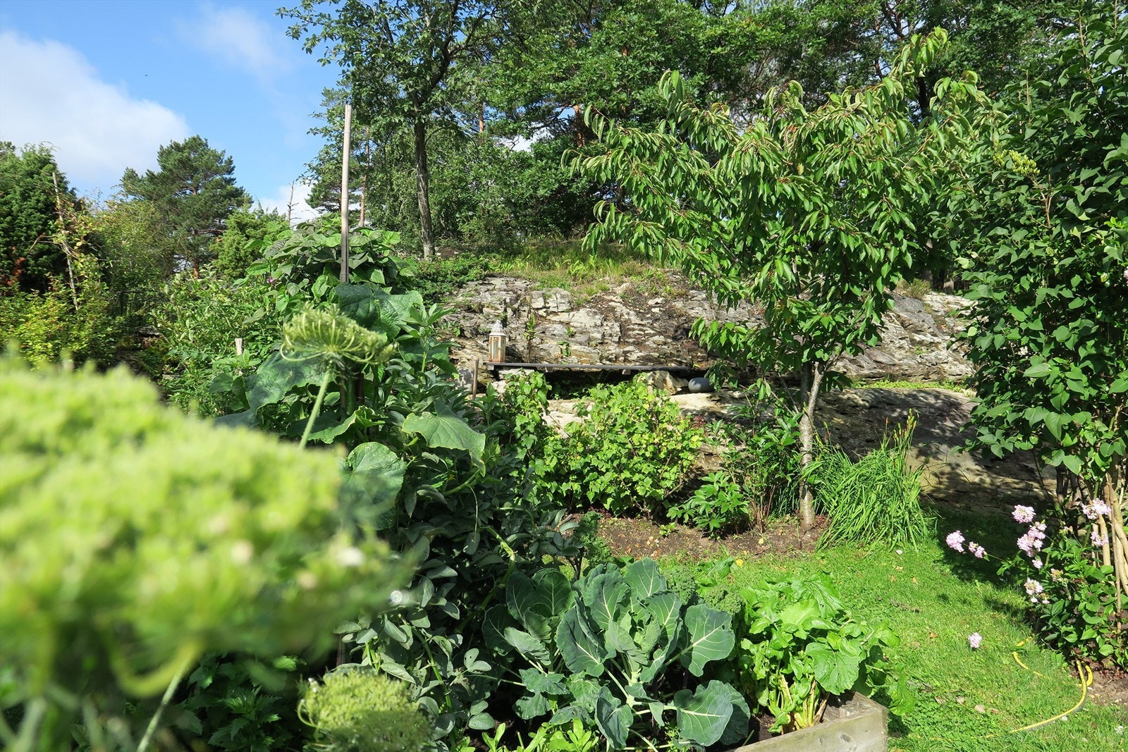 Koselig sittebenk på det varme skråfjellet. (Privat bilde). Galleribilde