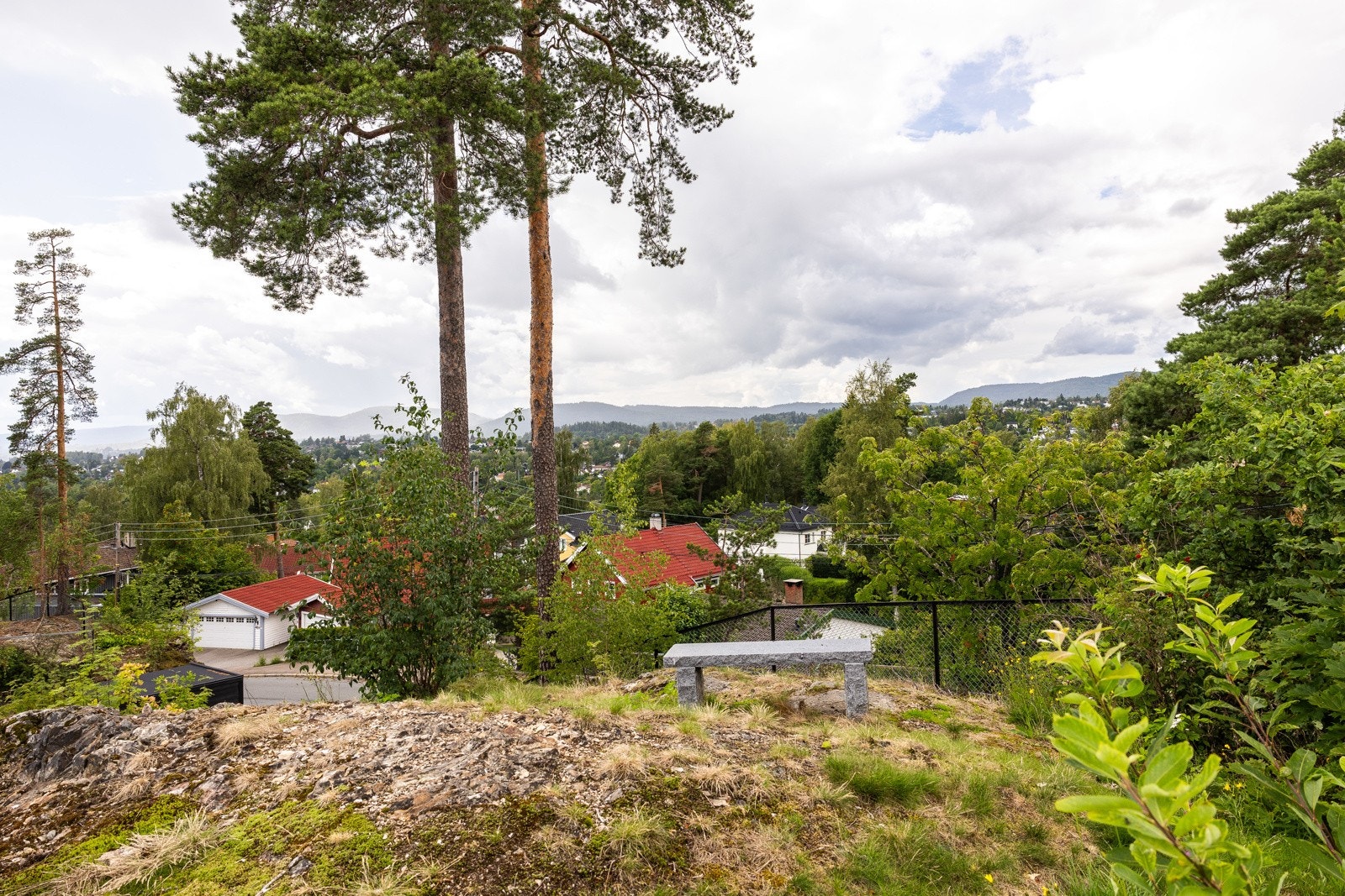 Benk på fellestomt med god utsikt Galleribilde