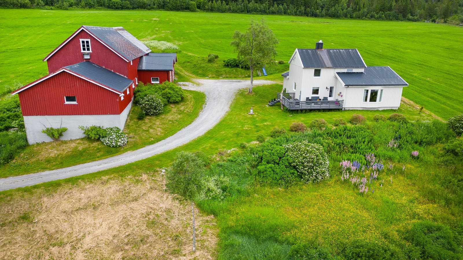 Frodig og pent opparbeidet tomt Galleribilde