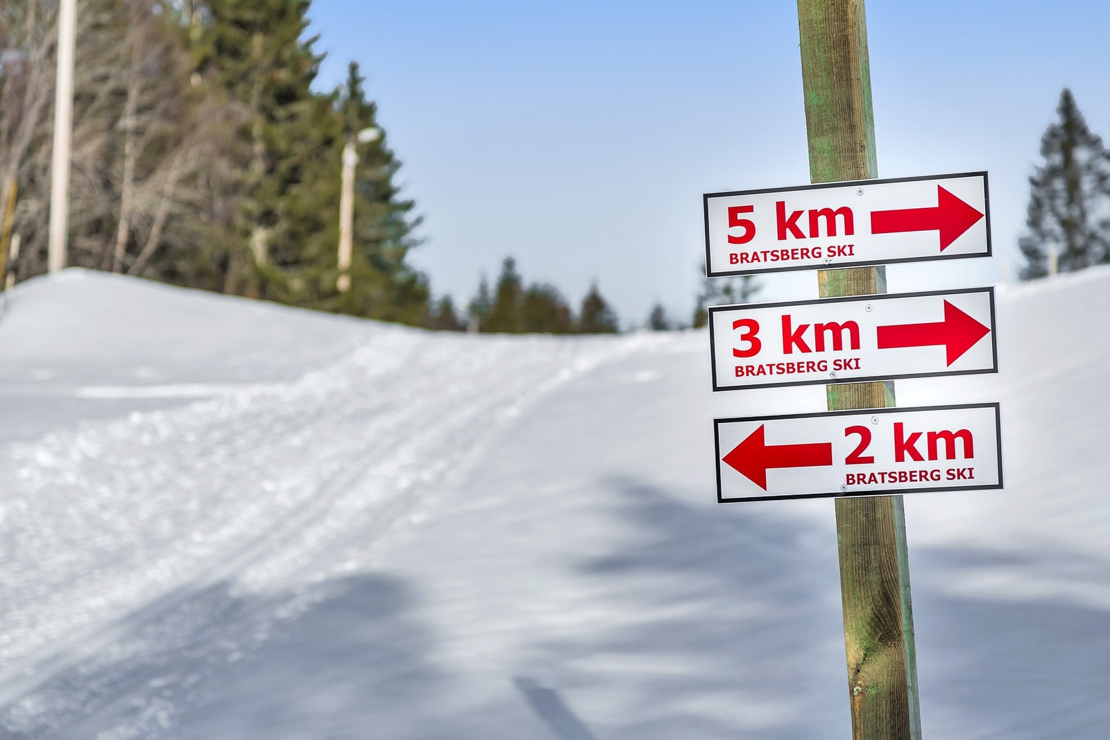 På vinterstid kan man ta med seg skøytene til Bratsberg skole for en runde på skøytebanen, eventuelt ta en skitur i lysløypa. Ved Bratsberg Idrettsanlegg finnes kunstgressbane, lekeapparater, sittegrupper og grøntareal hvor små og store kan boltre seg. Galleribilde