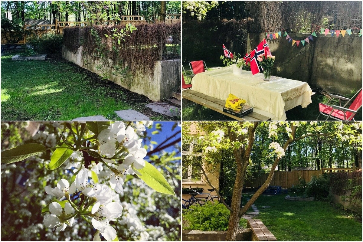 Blomstring i bakgården skaper en trivelig atmosfære. Galleribilde