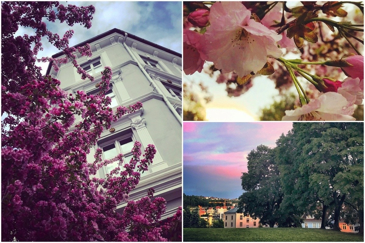 Flotte og klassiske bygårder i et attraktivt og idyllisk boligområde. Galleribilde