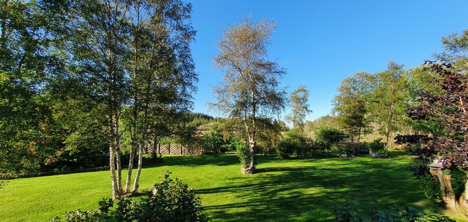 Privat foto Galleribilde
