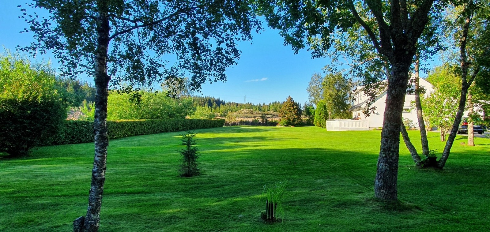 Privat foto Galleribilde