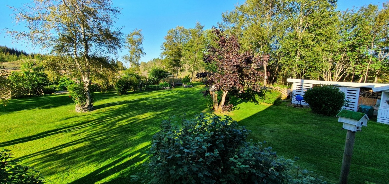 Privat foto Galleribilde
