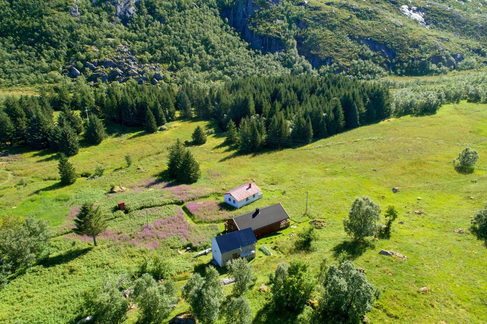 Eiendommen sett fra lufta Galleribilde