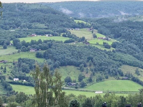 Utsikt fra Veranda Galleribilde