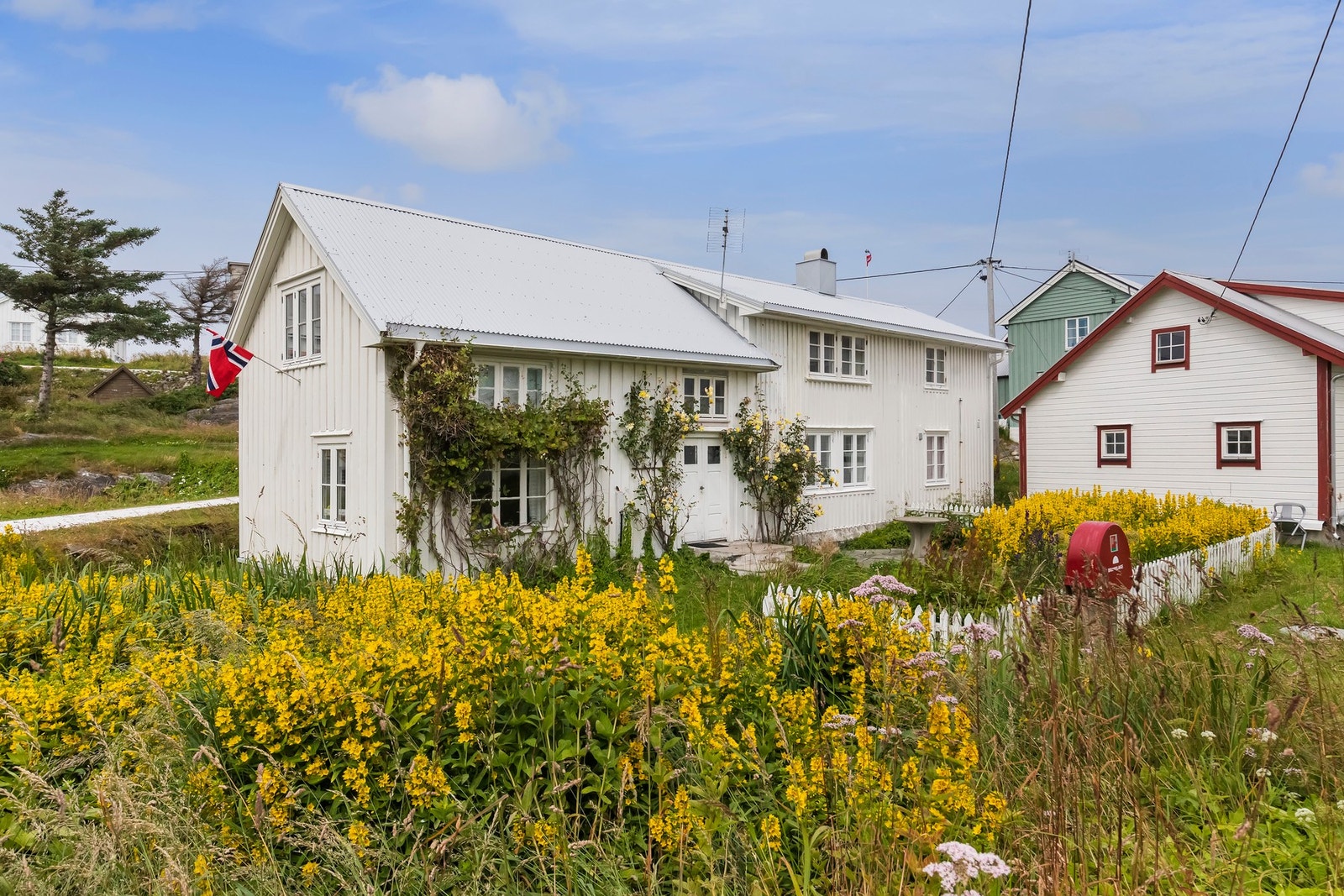 Tomten er opparbeidet med mindre plenareal, prydbusker og gruset gangvei Galleribilde